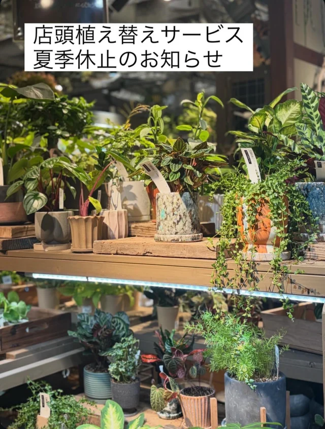 gardens umekita - 大阪都心の癒しと安らぎの空間